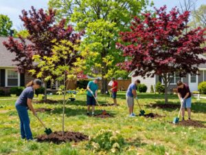Homeowners in Plymouth MI planting native trees for spring landscaping.