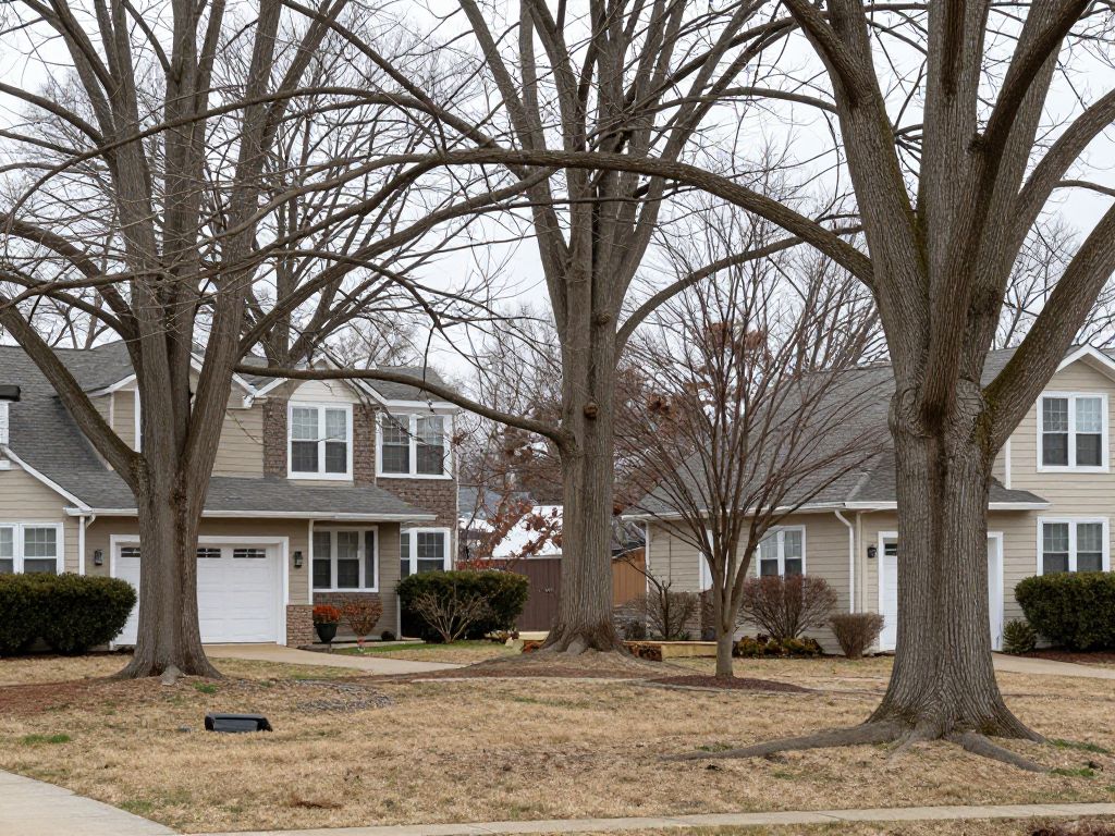 Healthy and unhealthy trees in a Plymouth MI yard before spring season