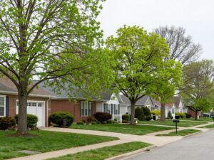 Lush green trees in a Plymouth MI neighborhood during spring