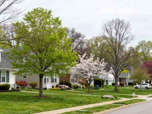 Residential area in Plymouth MI with newly planted trees in spring.