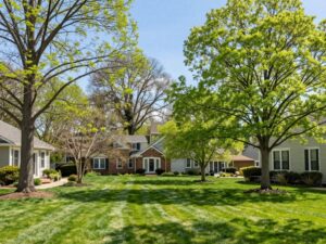 Vibrant residential yard in Plymouth MI showcasing strategically planted trees in spring.