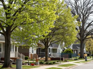 Spring landscaping project in Plymouth MI with tree protection measures
