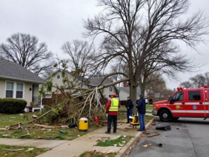 Plymouth MI residents assess storm damage and fallen tree limbs in a neighborhood after spring weather events.