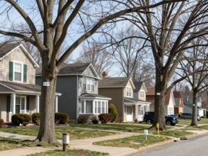 Homeowners inspecting trees in Plymouth MI for spring storm readiness