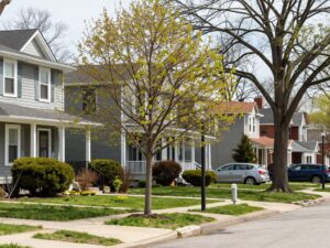 Young trees in Plymouth MI showing new foliage during early spring.
