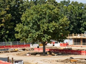 Construction site in Plymouth MI with trees and protective barriers